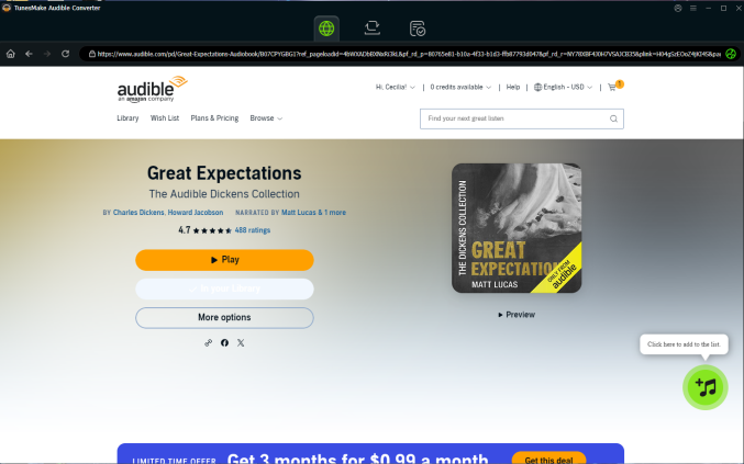 audible converter interface