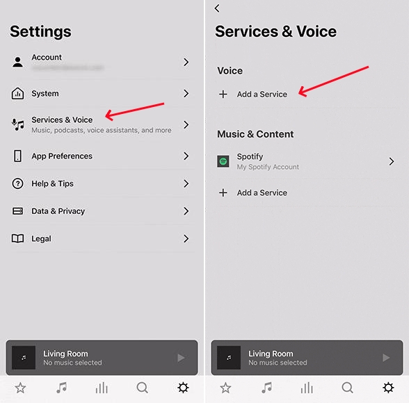 add voice in sonos
