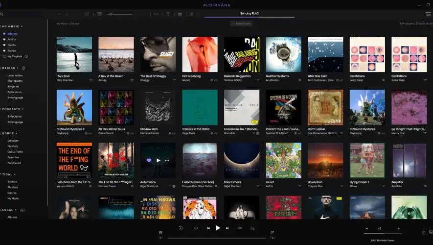 audirvana interface