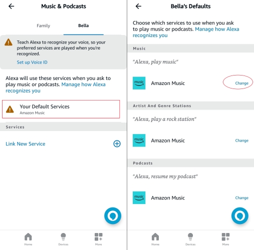 change default service in alexa