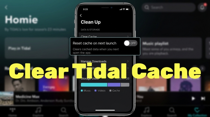 clear tidal cache