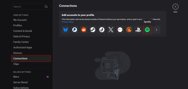 connections section on discord