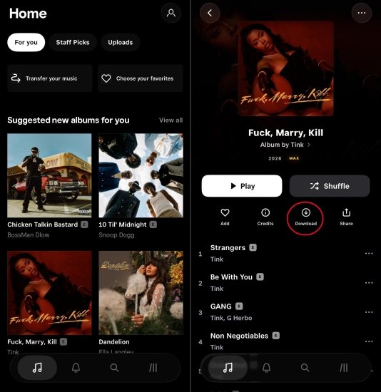 download tidal music on phone
