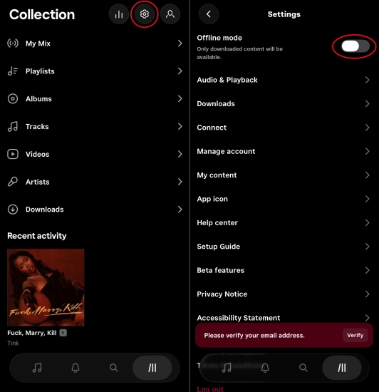 enable offline mode on tidal
