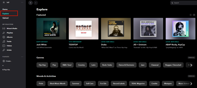 explore tidal web player