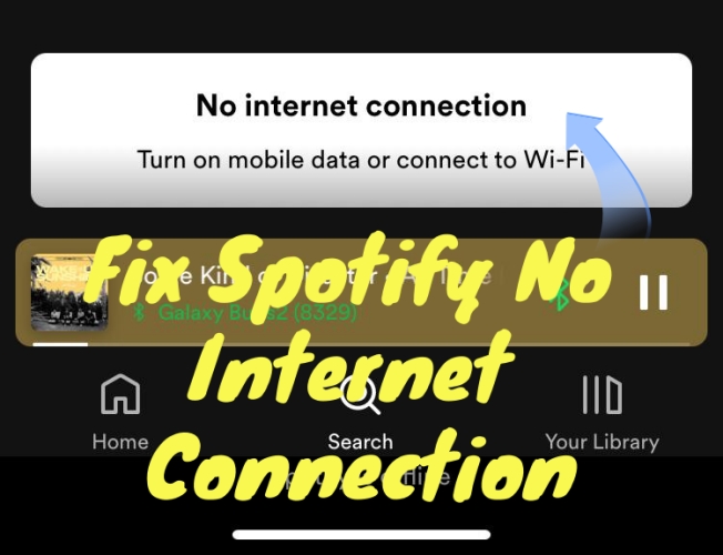 fix spotify no internet connection
