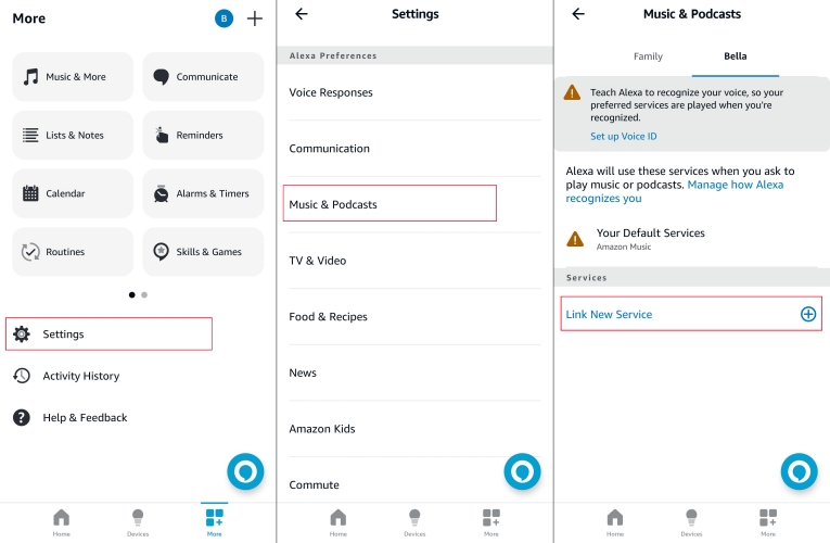 link a service in alexa