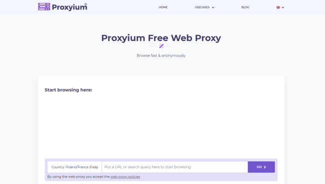 proxy web