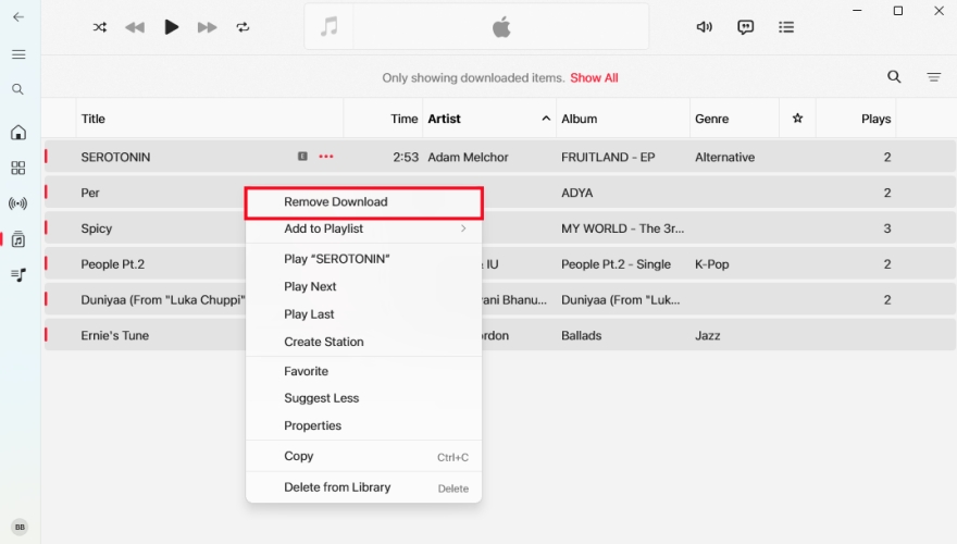 remove apple music downloads on computer