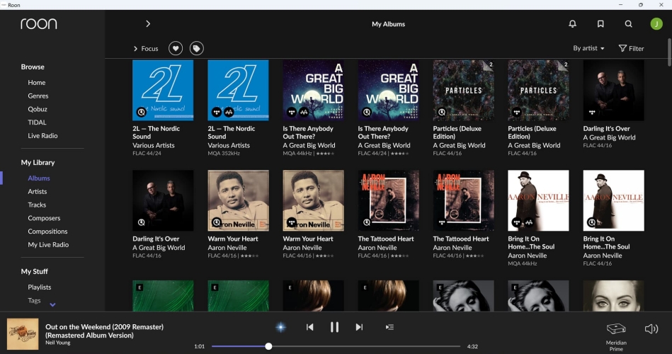 roon interface