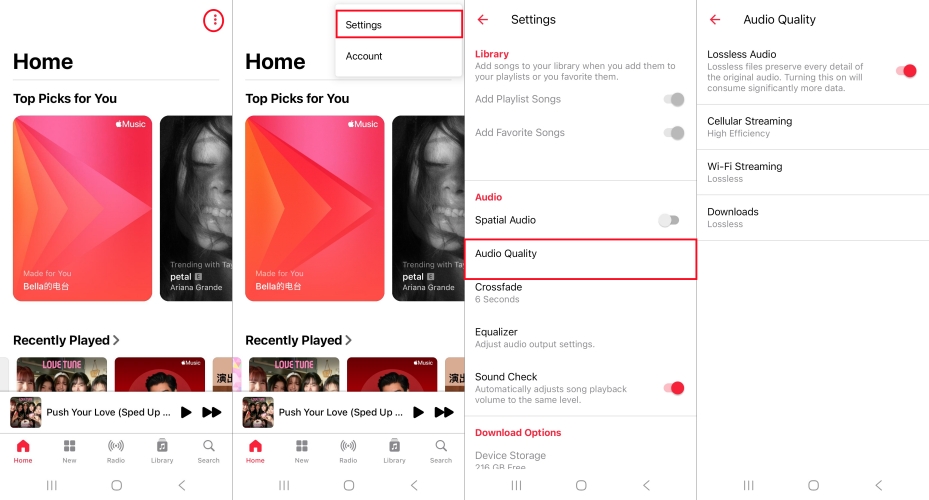 set audio quality for apple music on android
