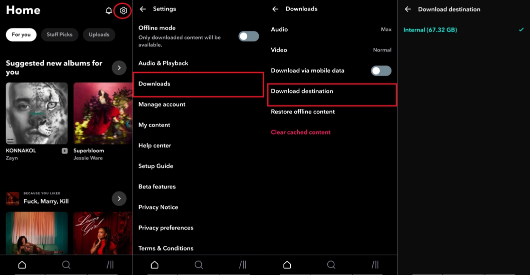 set download destination on tidal