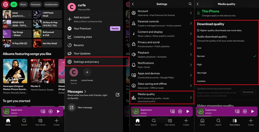 set spotify download quality on iphone