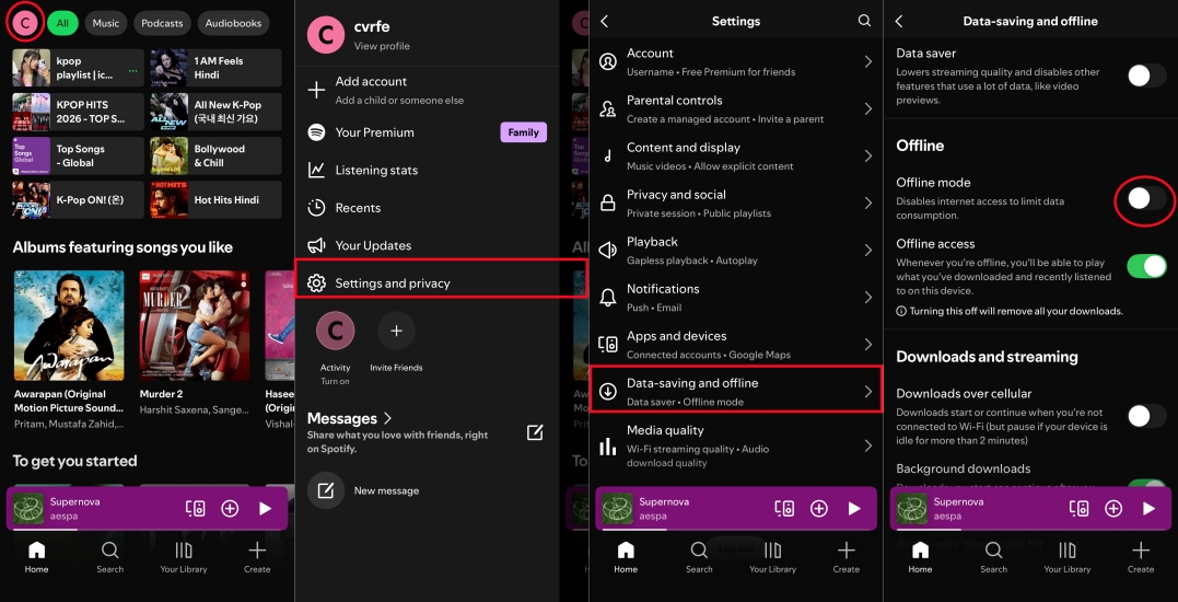 turn on offline mode in spotify
