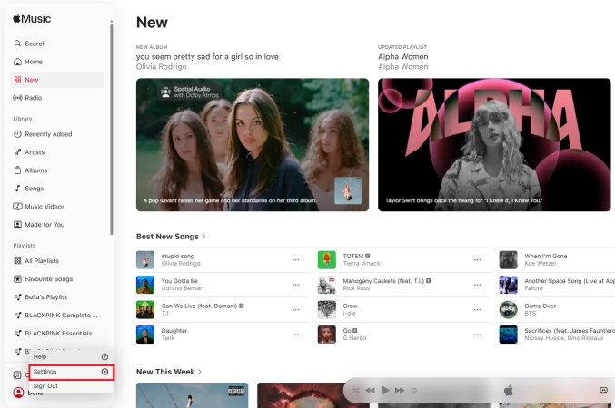 click settings in apple music web player