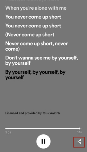 share spotify lyrics