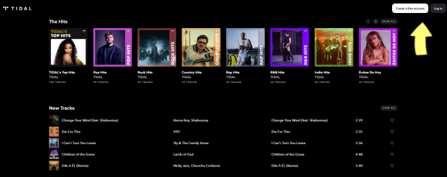 sign in on tidal web player