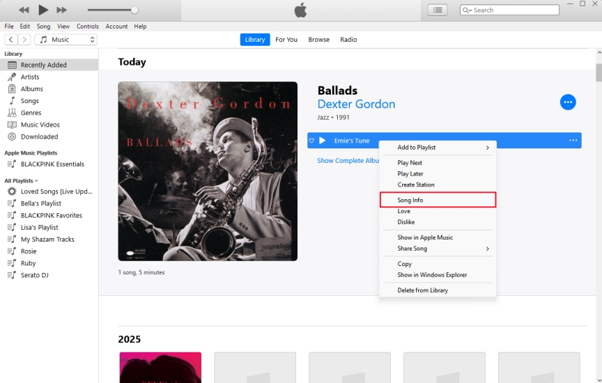 view song information in itunes