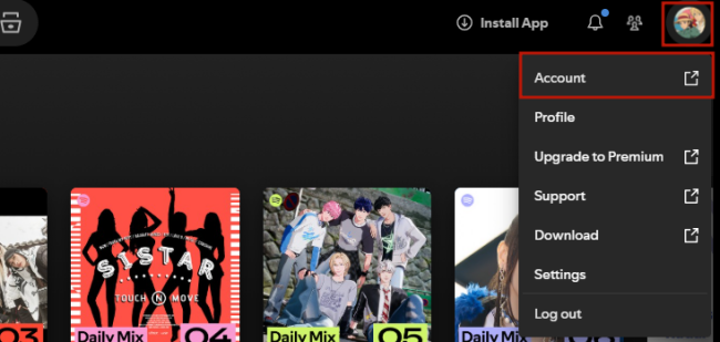 spotify account