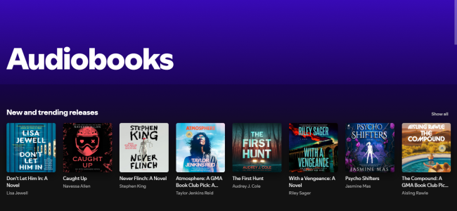 spotify audiobook