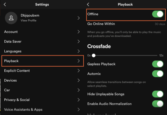 spotify offline mode