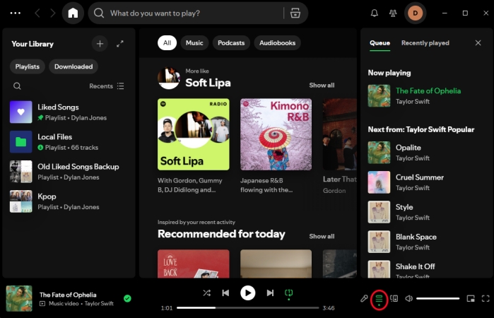 check queue in spotify for desktop