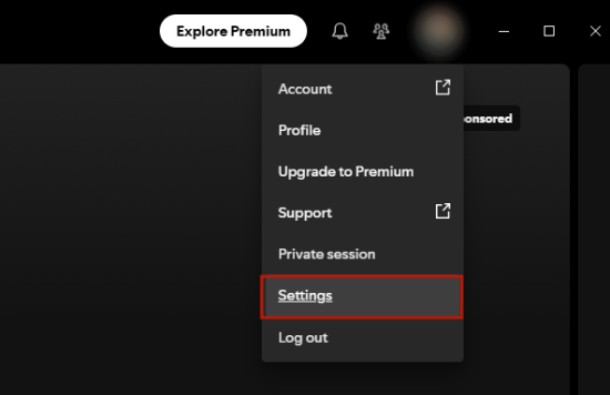 spotify settings