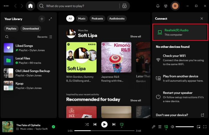 connect to this computer on spotify