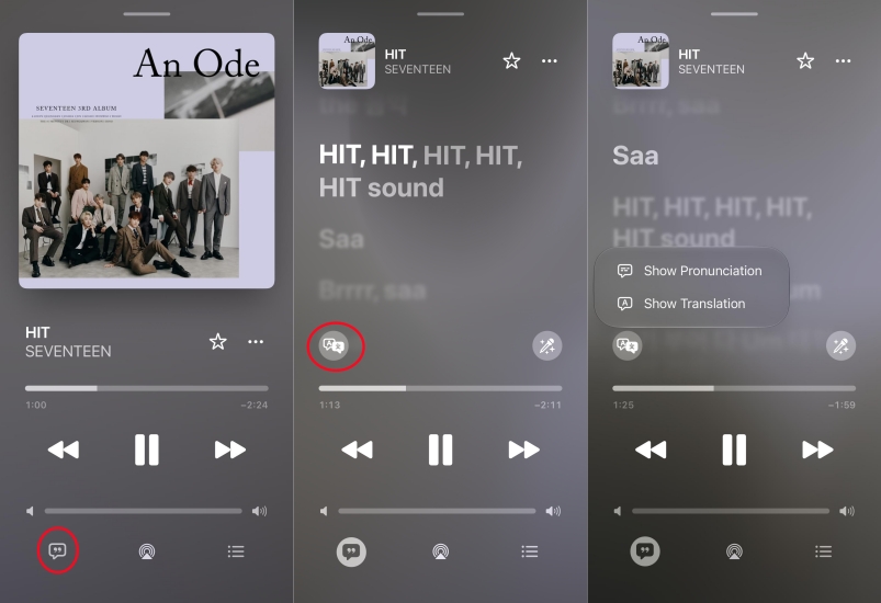 translate apple music lyrics on iphone