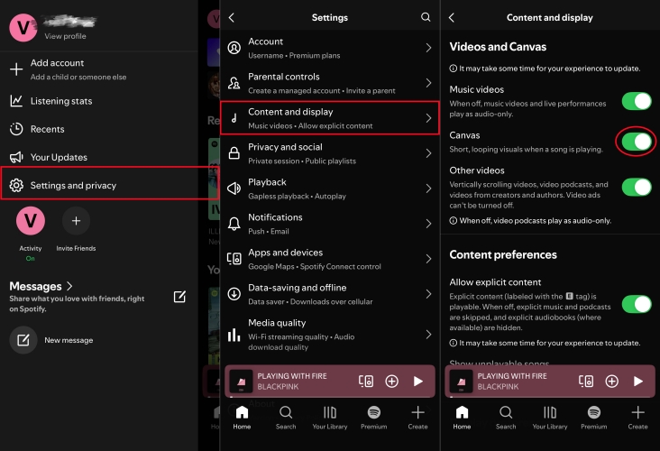 turn on canvas in spotify