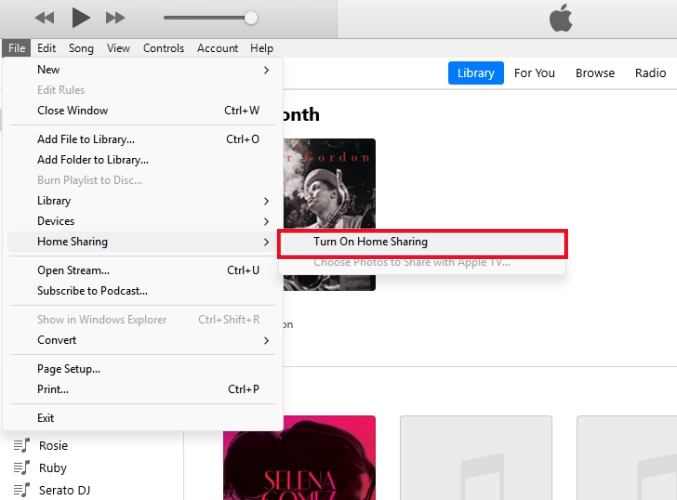 turn on home sharing in itunes