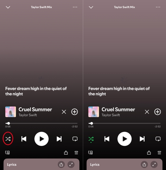 turn off spotify shuffle