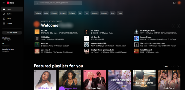 youtube music interface